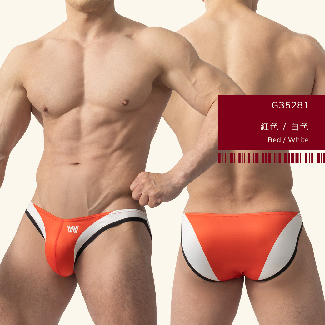 w,雙色,tdt,低腰,三角褲,男內褲,duo-colors,low waist,briefs,mens,underwears,g3528