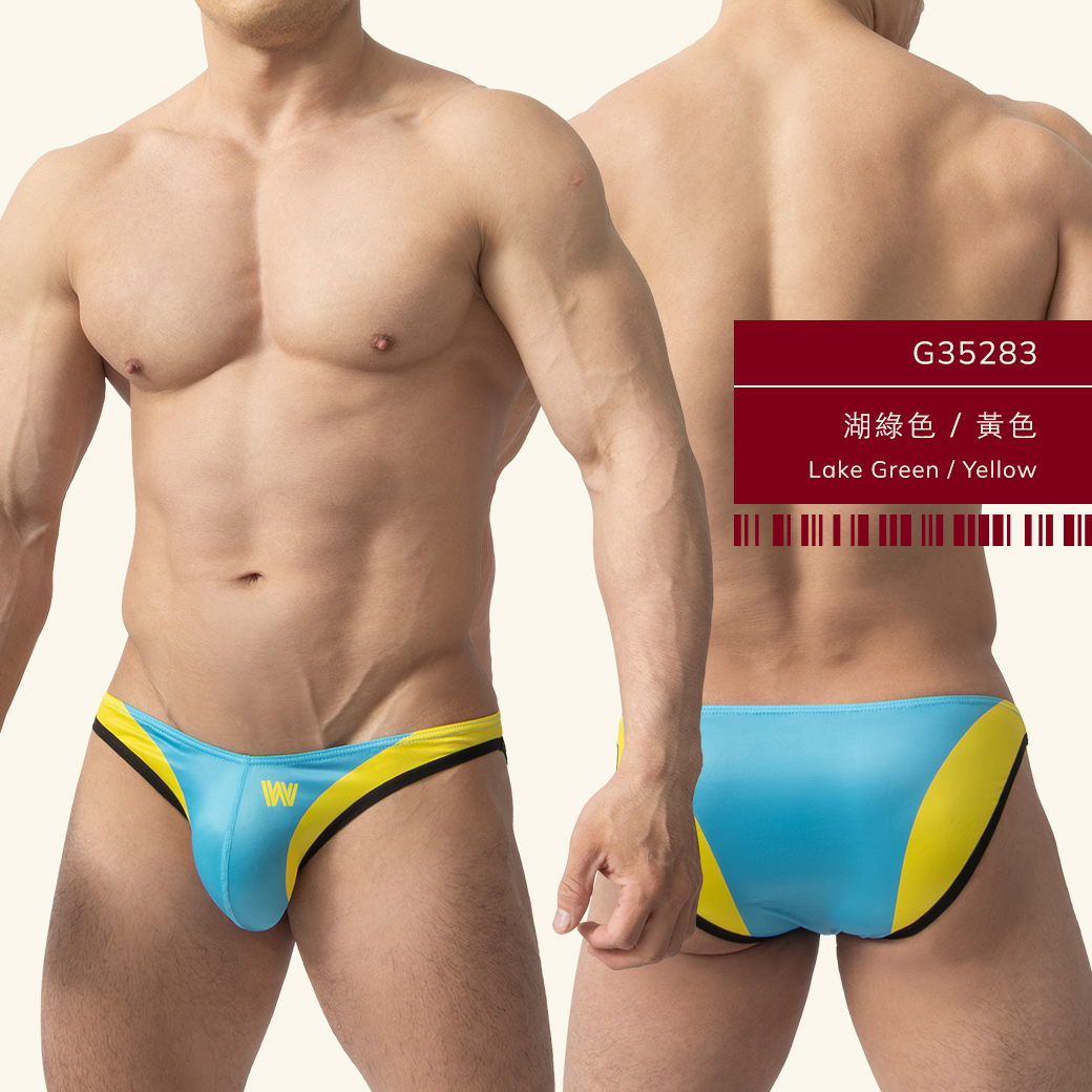 w,雙色,tdt,低腰,三角褲,男內褲,duo-colors,low waist,briefs,mens,underwears,g3528