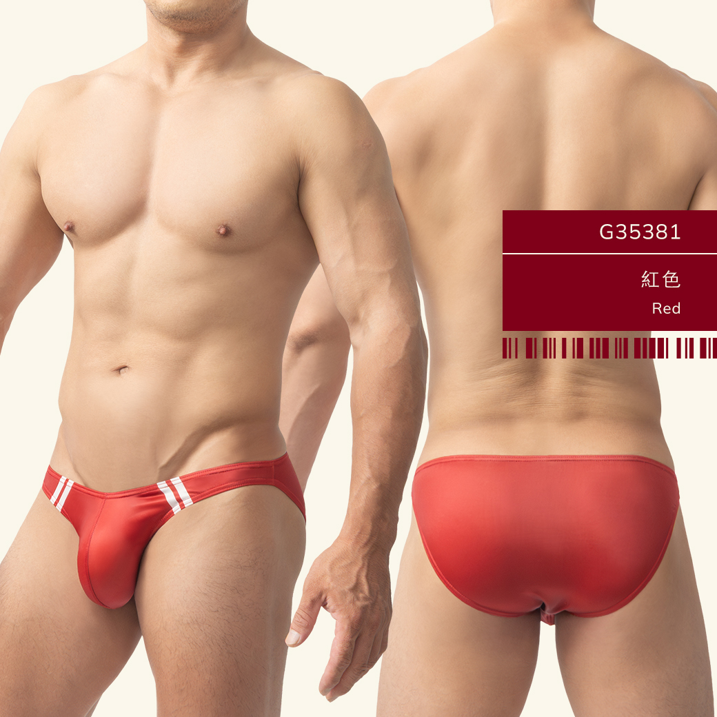 雙槓,tdt,低腰,三角褲,男內褲,double lines,low waist,briefs,mens,underwears,g3538