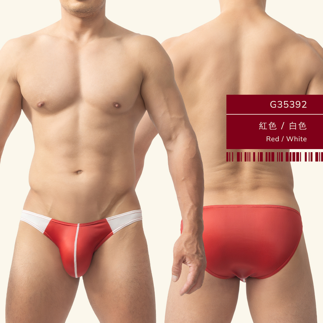 雙色,tdt,低腰,三角褲,男內褲,duo color,low waist,briefs,mens,underwears,g3539