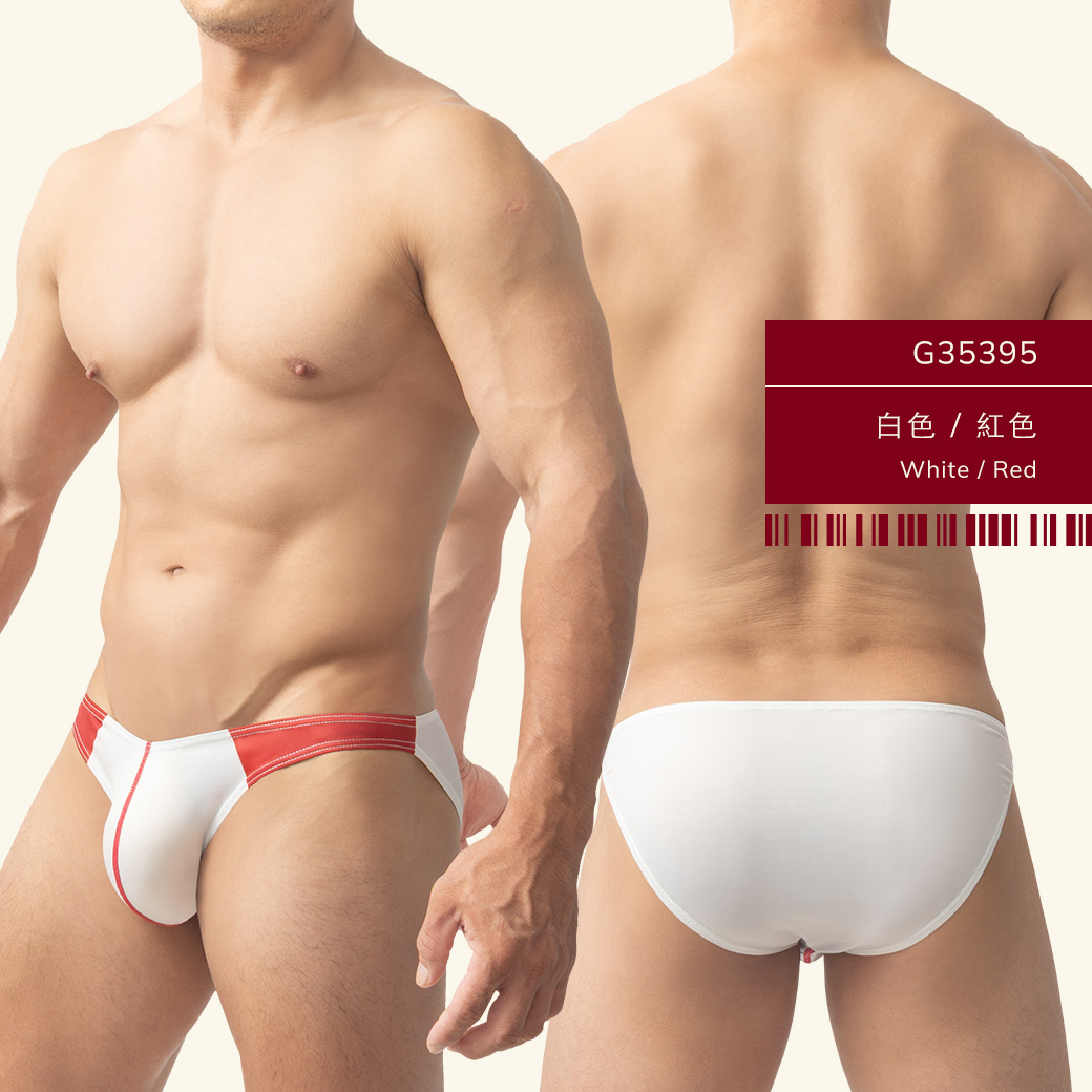 雙色,tdt,低腰,三角褲,男內褲,duo color,low waist,briefs,mens,underwears,g3539