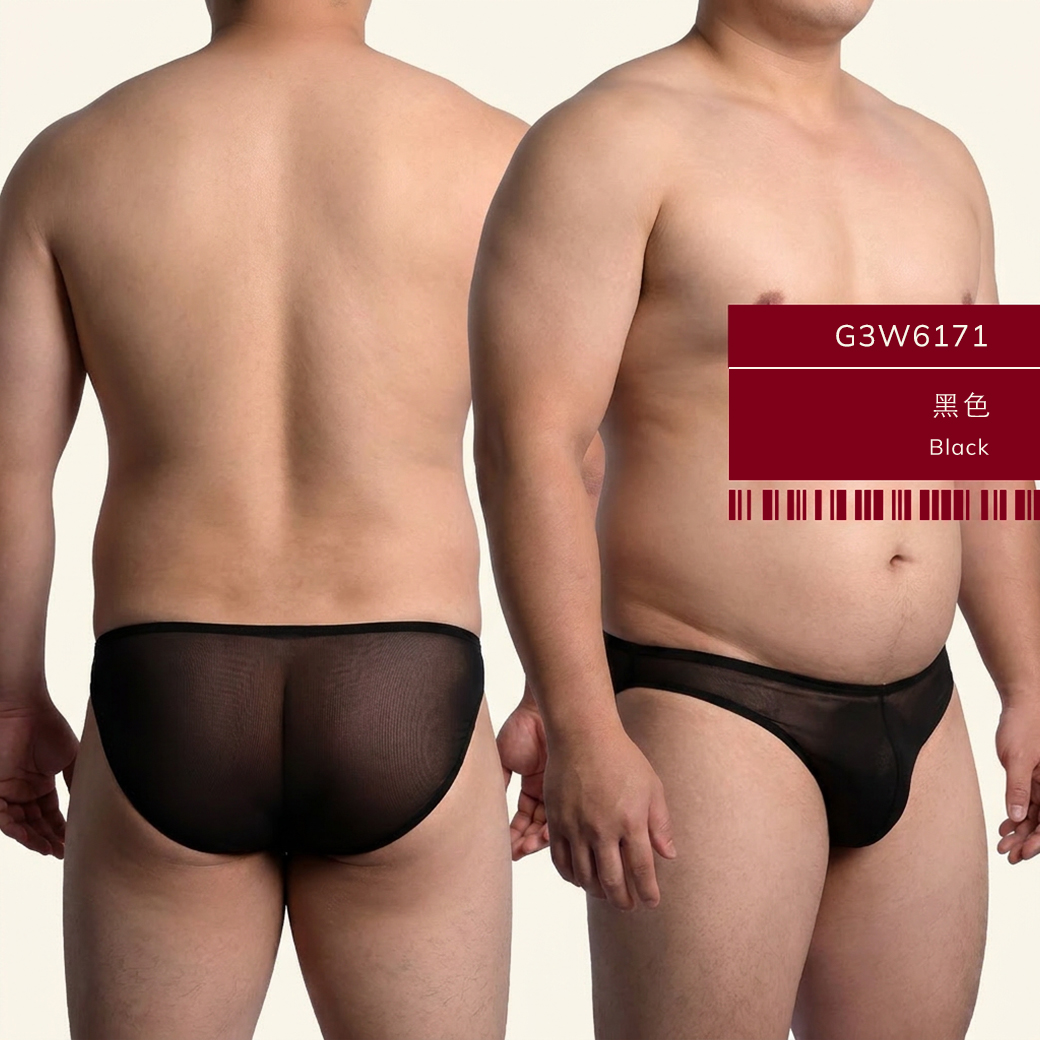 男內褲-網紗內褲-低腰三角褲-性感男內褲-透氣透視內褲-G3W617