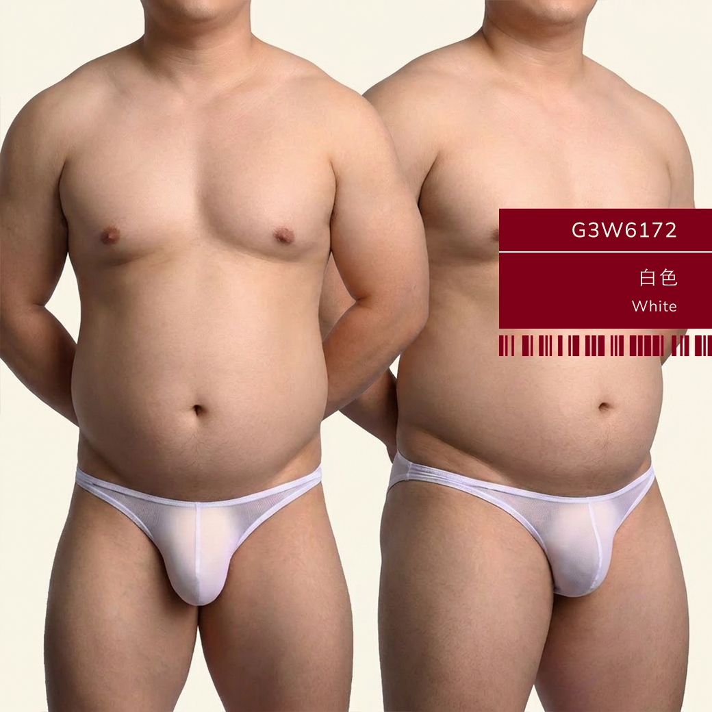 男內褲-網紗內褲-低腰三角褲-性感男內褲-透氣透視內褲-G3W617