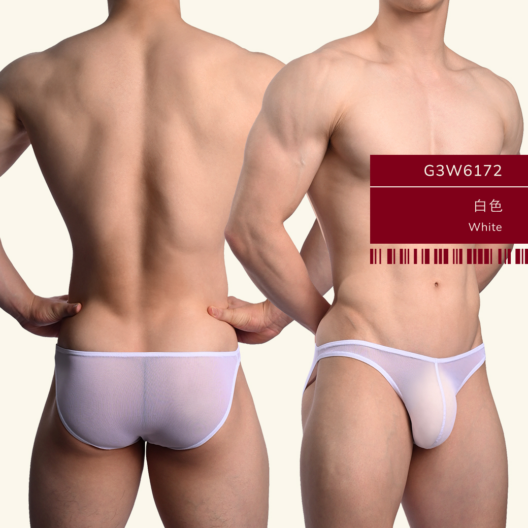 男內褲-網紗內褲-低腰三角褲-性感男內褲-透氣透視內褲-G3W617