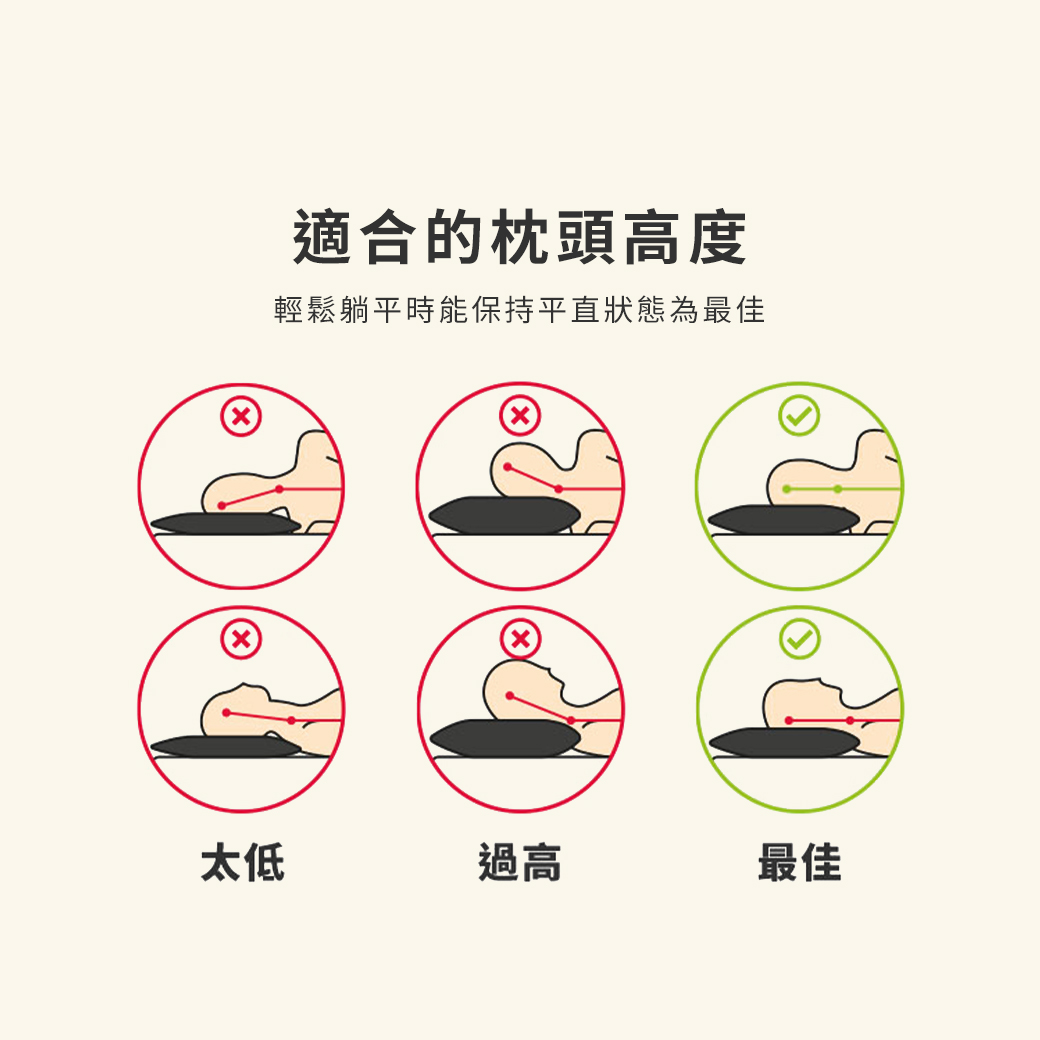 中空管,標準,枕頭,hollow tube,standard,pillow,pln201,三明治布料,sandwich fabric,抗菌,antibacterial,防臭,deodorant,無毒,無味,聚乙烯pe,non-toxic,tasteless,polyethylene pe